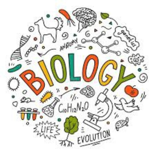 Biologia - 3º Ano - Informática 