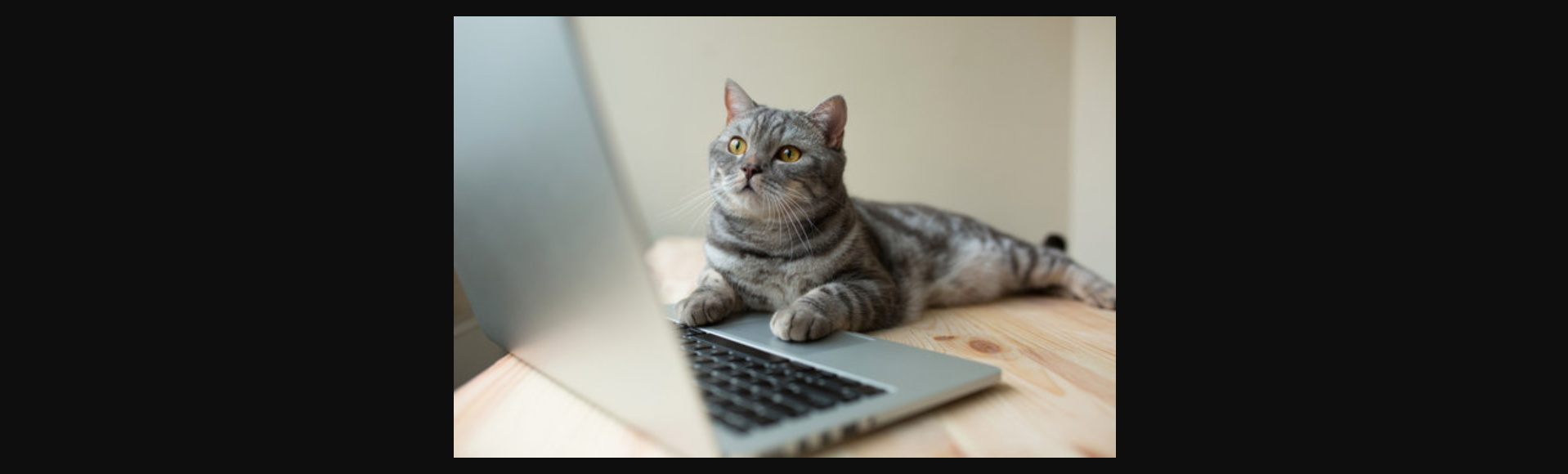 Desenvolvimento de Sistemas Web 1